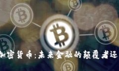 王军谈加密货币：未来金融的颠覆者还是泡沫？